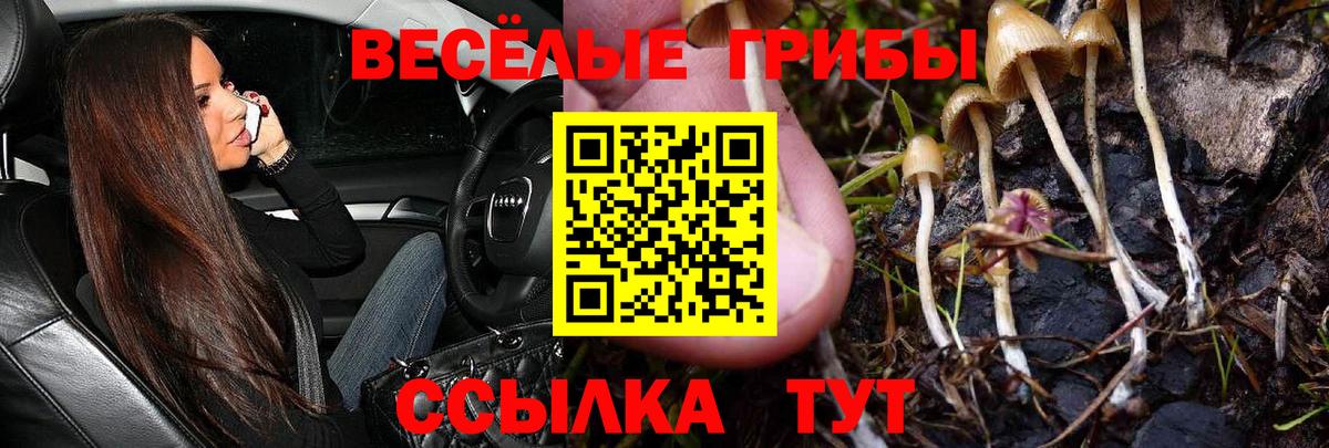 Галлюциногенные грибы MAGIC MUSHROOMS Вольск