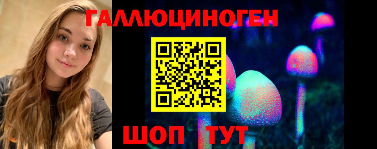 Псилоцибиновые грибы GOLDEN TEACHER  купить наркотик  Вольск  Вход с VPN  Псилоцибиновые грибы Psilocybine cubensis 